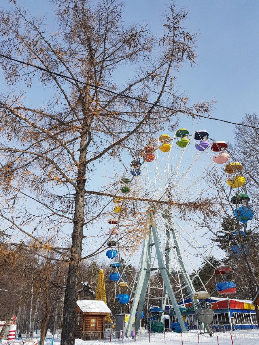 Парк гагарина южно сахалинск фото Парк гагарина южно сахалинск фото
